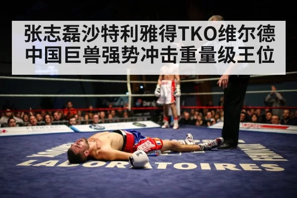 张志磊沙特利雅得TKO维尔德中国巨兽强势冲击重量级王位